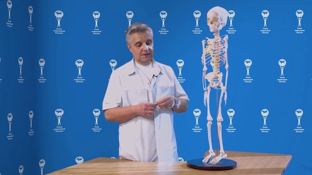 Измерение длины ног у ребенка. Советы родителям - Союз педиатров России. смотреть онлайн