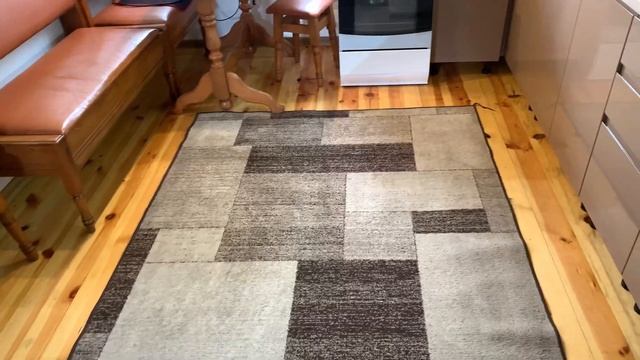 Пилосос Thomas Aquawash PET / Як ЛЕГКО обслуговувати після прибирання? смотреть онлайн