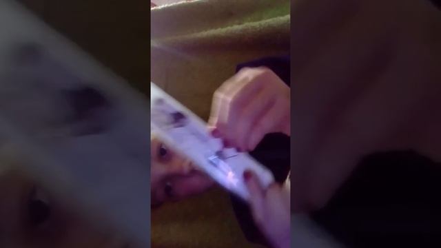 Мои подарки на др 12 лет!!!! смотреть онлайн