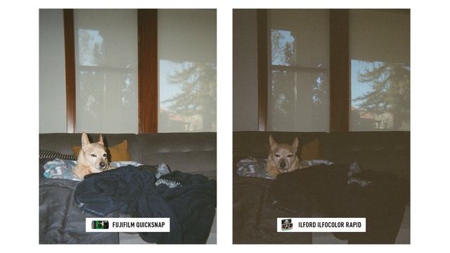 What's the Best Disposable Camera? - Comparing 8 Disposable Film Cameras смотреть онлайн