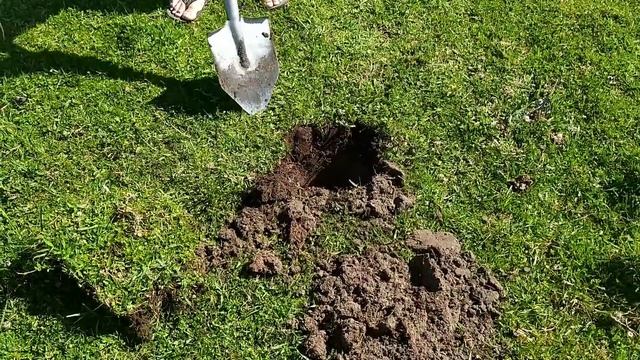 DETECTORISMO NA CHÁCARA ANTIGA (GAUDÉRIO DETECTORISMO)