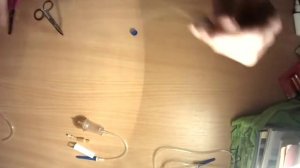 ПЛЕТЁМ РЫБКУ ИЗ КАПЕЛЬНИЦЫ-для начинающих