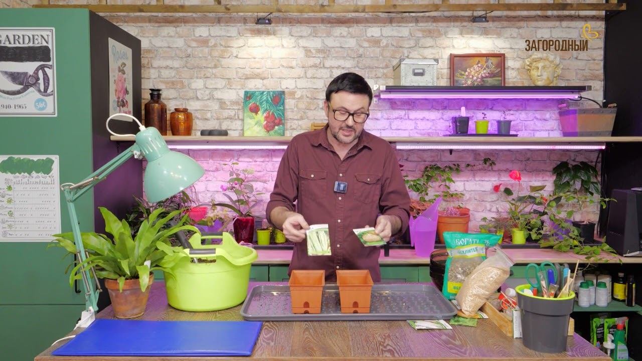 Дача с Виталием Декабревым Сезон 3 / Выпуск 1 смотреть онлайн