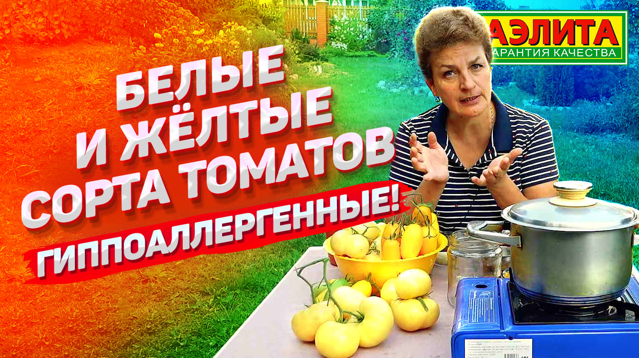 Желтоплодные и белоплодные сорта томатов. Цельноплодные консервированные томаты в томатном соке. смотреть онлайн