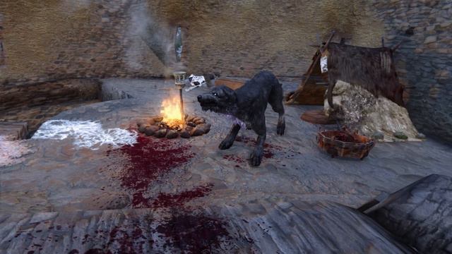 Wer ist der BESTE Begleiter in Skyrim? смотреть онлайн
