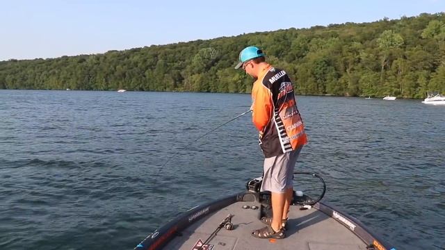 Garmin Panoptix Livescope For Perch