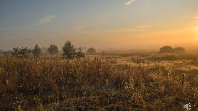 Пейзаж поэтическая и музыкальная живопись смотреть онлайн