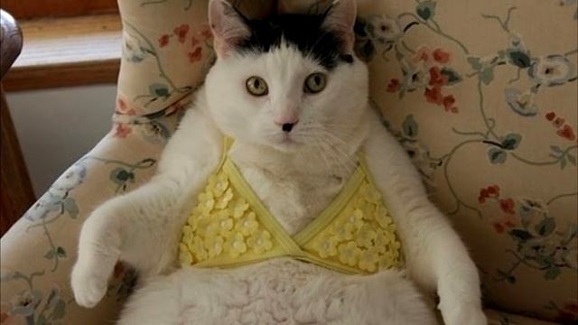 Как похудеть подростку смотреть онлайн