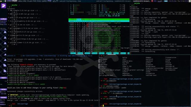 Gentoo Portage Use Flag Management смотреть онлайн