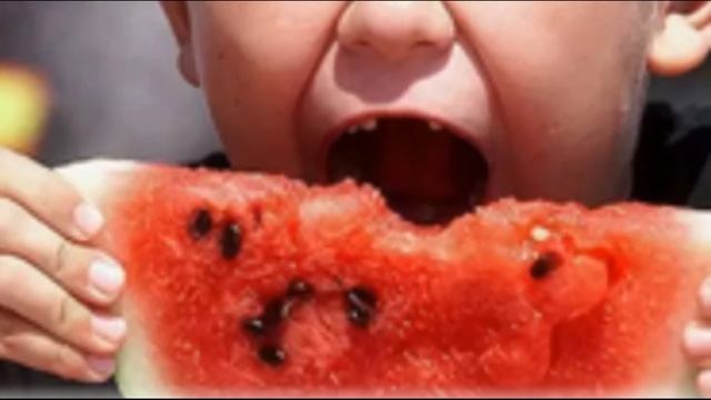 Из за чего горчит арбуз смотреть онлайн