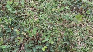 Pulau Hantu - Ghost Island of Singapore