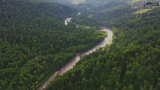 Спецоперация в тайге или охота на блогера/Самое скандальное видео канала/Заповедная река Иня #3 смотреть онлайн