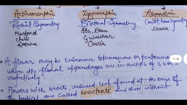 Biology Chapter-5 Morphology Of Flowering Plants Class-11 Best Handwritten Notes(PDF) NCERT | NEET смотреть онлайн