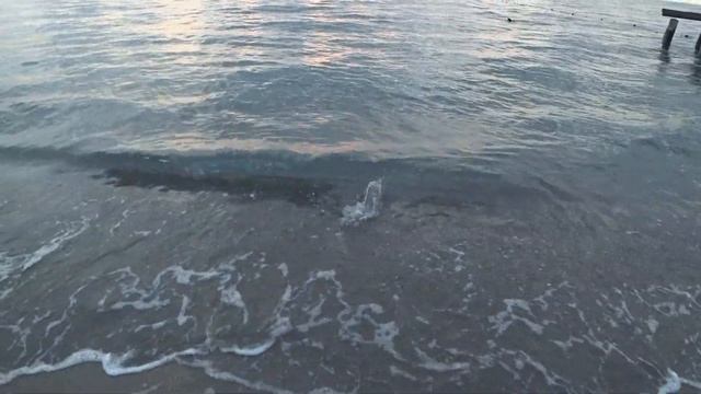 СРАЗУ ТРОФЕЙ!!! Морская рыбалка в Турции. Рокфишинг в Кемере.