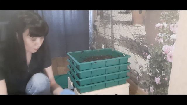Zero Waste. Домашнее компостирование. Часть 1 смотреть онлайн