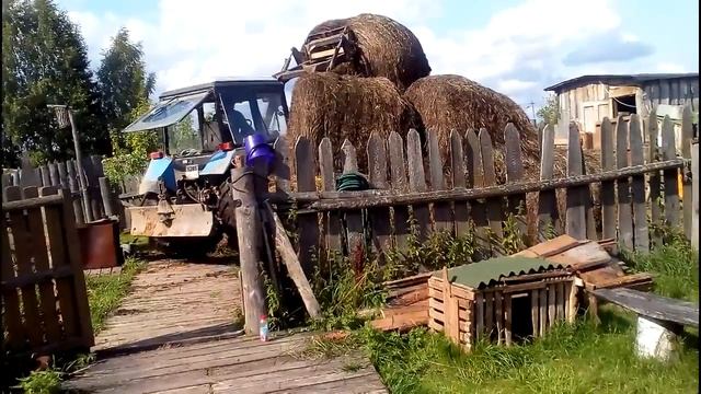 Купили сено/ И снова о том насколько выгодно держать КРС смотреть онлайн