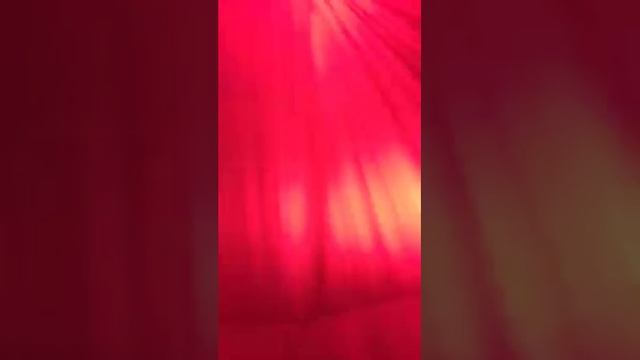 Дарья Пынзарь - Без названия смотреть онлайн