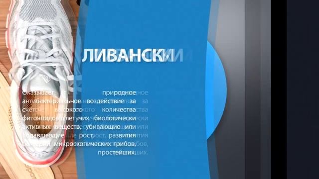 Промо для Кедр