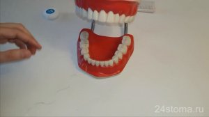 Как правильно пользоваться зубной нитью