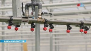 Волгоградская область станет крупнейшим центром семеноводства