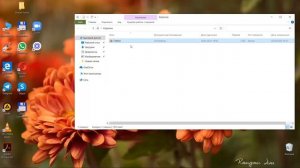 Пропала папка. Исчез файл