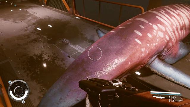 Hunting Shark - Starfield смотреть онлайн