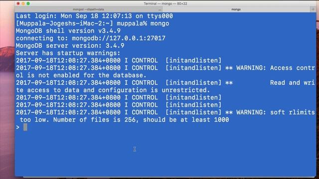 Exercise (Video): Introduction to MongoDB - Server-side Development with NodeJS, Express and MongoD смотреть онлайн