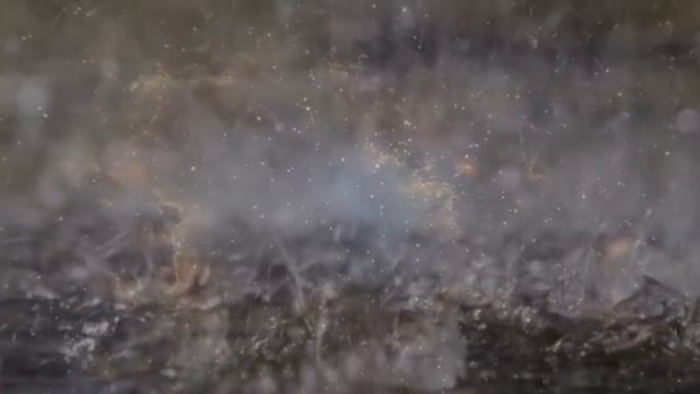 Вода в доме. Приметы и поверья. смотреть онлайн