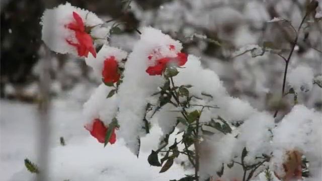 ИЗБРАННЫЕ ПЕЙЗАЖИ смотреть онлайн