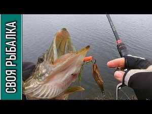 ЩУКА на КОЛЕБАЛКУ! Уловистая блесна АТОМ!