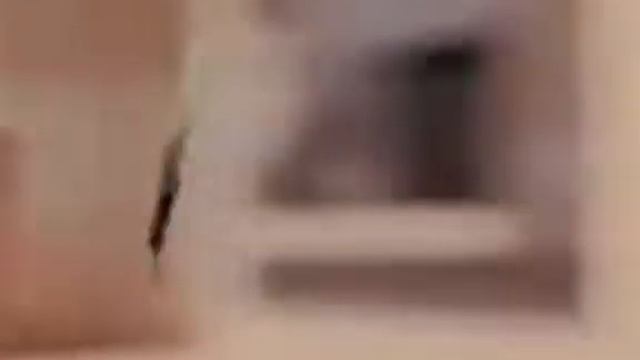 😱когда ты хочешь посрать а там спрингтрап смотреть онлайн