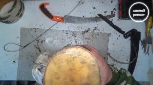 Сбор бересты,снимаем сколотни