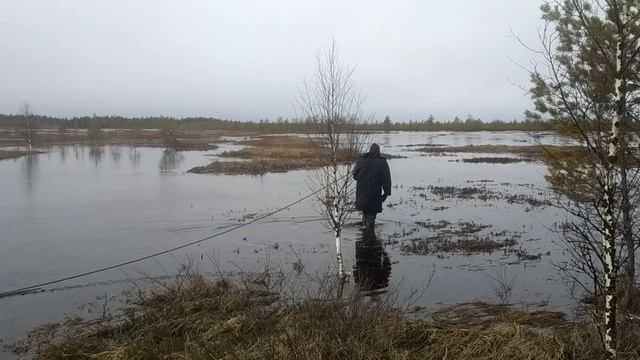 Поход к Кайскому болоту, май 2020 смотреть онлайн