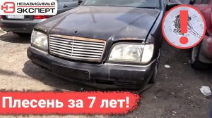 ПЛЕСЕНЬ В СИДЕНЬЯХ МЕРСЕДЕС 7 ЛЕТ СПУСТЯ!