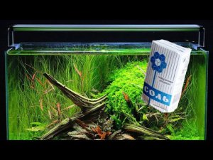 МИФЫ О ДОБАВЛЕНИЕ СОЛИ В ПРЕСНОВОДНЫЙ АКВАРИУМ