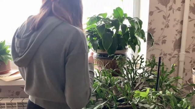 Бокс: железные удары на пути к мужеству