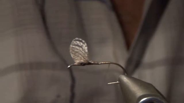 ПОДЕНКА SVA смотреть онлайн