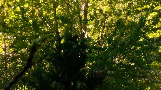 Светит солнце яркое всем доброго и прекрасного утра 23.05.+20 тихо музыка играет смотреть онлайн