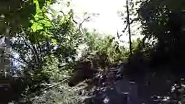 дача на берегу Волги смотреть онлайн
