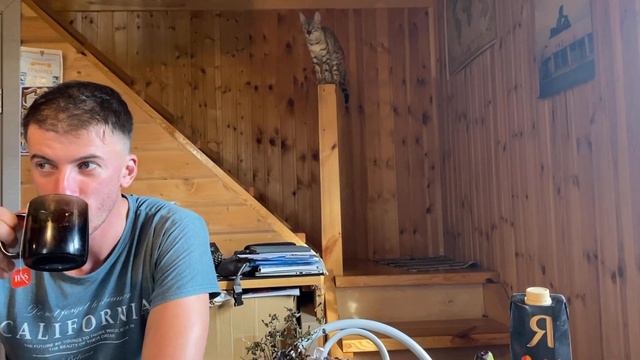 Как просить колбасу смотреть онлайн