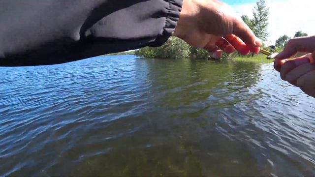 Спиннинг с отводным поводком. Ловля окуня. смотреть онлайн