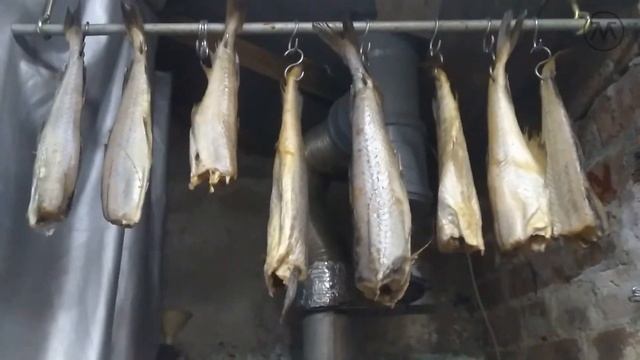 Женская карьера и бизнес-стратегии