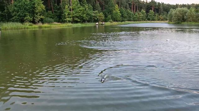 Катера. Мещерский парк.01.08.2023г. смотреть онлайн