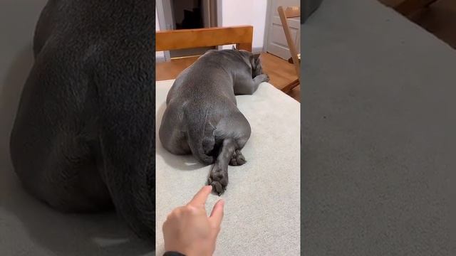 #photooftheday #picoftheday #photo #igdaily #photographer #foto #instapic смотреть онлайн