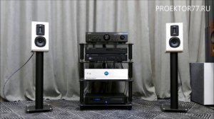 Прослушивание полочной акустики Quad S-1 + Denon PMA-800NE