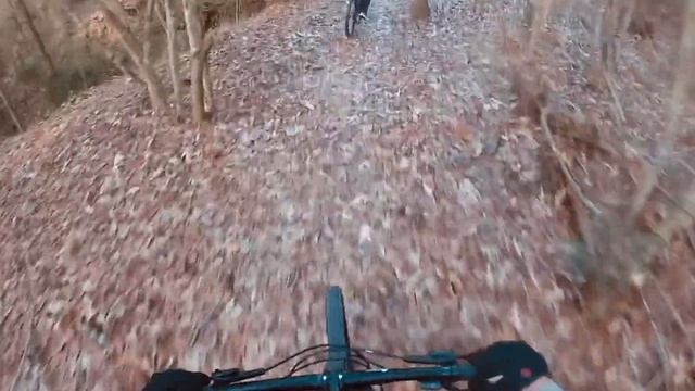 Haro Double Peak Trail 29” At Cypress Creek Trail Spring Tx