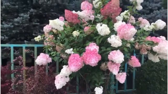 Яркие краски Осени смотреть онлайн