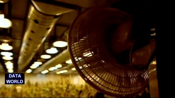 Buying Pot in Vancouver Canada (DATA WORLD) =  Покупка марихуаны в Ванкувере Канада