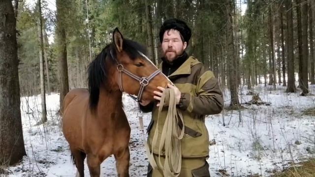 Все, что нужно знать о воспитания молодой лошади. смотреть онлайн