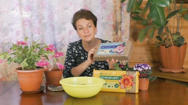 Чудо почва - почвобрикет: просто добавь воды! Как и в какой грунт пересадить домашние цветы зимой. смотреть онлайн